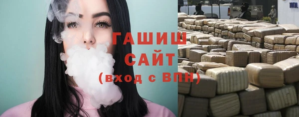 хмурый Арсеньев