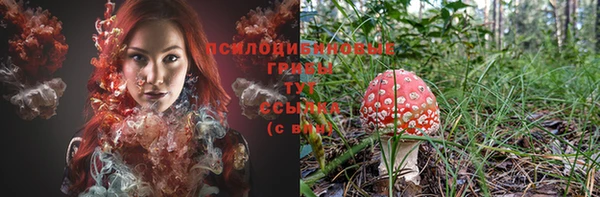2c-b Заволжье